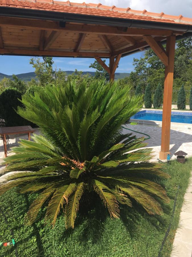 Villa Rakhimov Herceg Novi Dış mekan fotoğraf