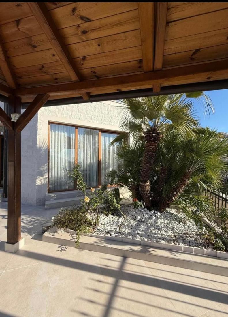 Villa Rakhimov Herceg Novi Dış mekan fotoğraf